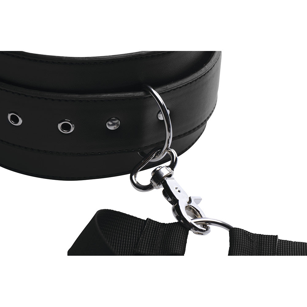 Black leather harness with metal hardware and a nylon strap.