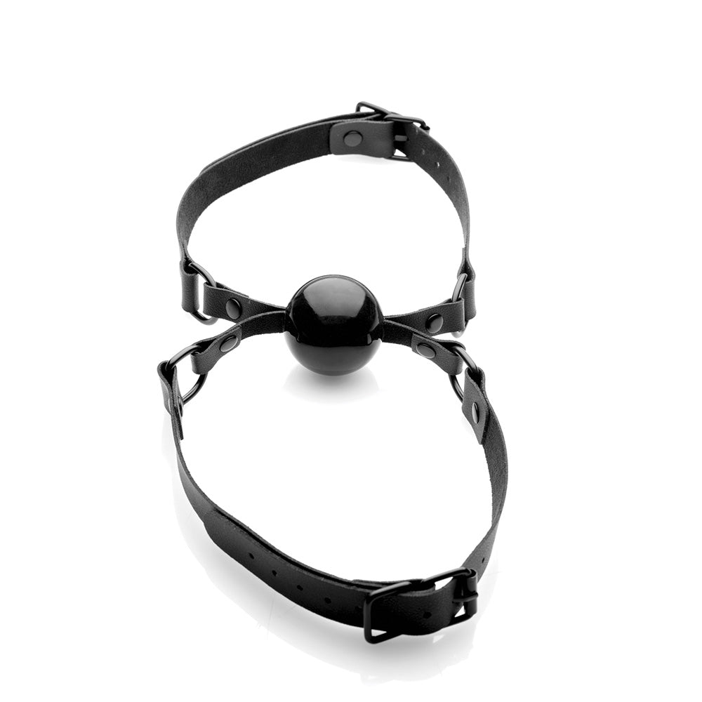 Black silicone ball gag with adjustable PU leather straps.