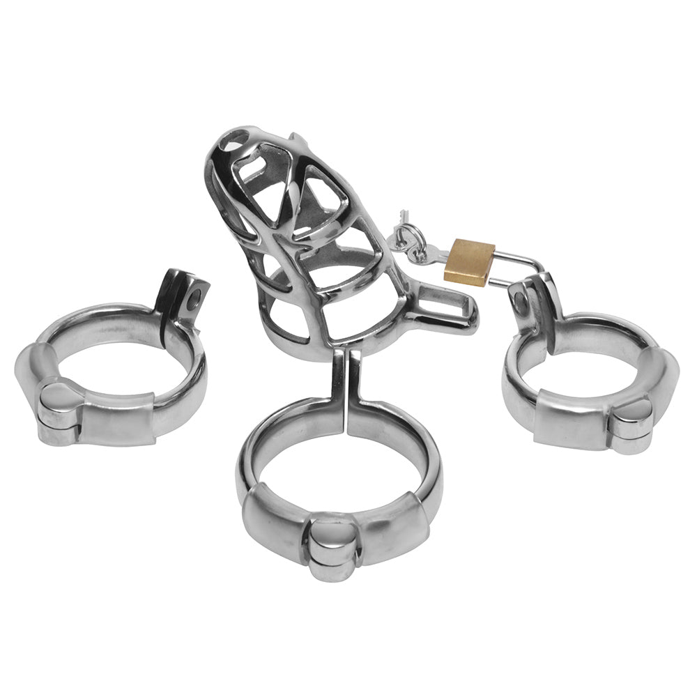 Stainless steel chastity cage with three sizing rings and a padlock.