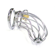 Stainless steel chastity cage with padlock and open design.