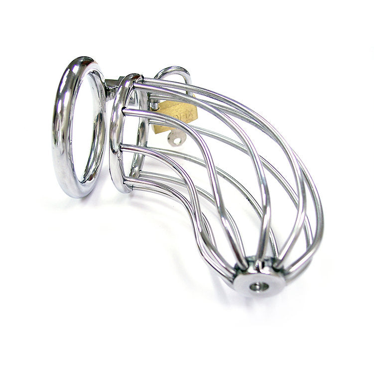 Stainless steel chastity cage with padlock and open design.