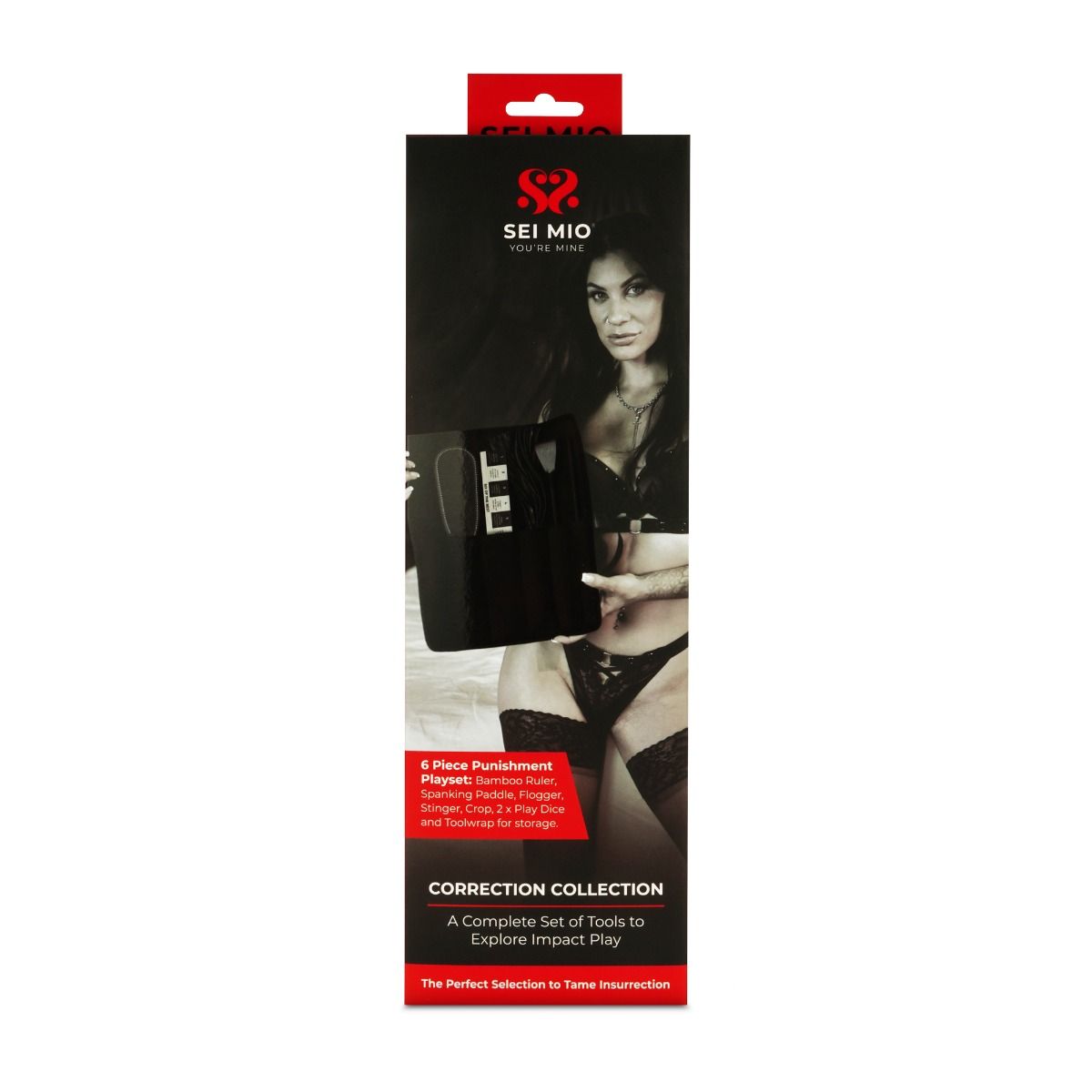 A 5-piece impact play toolkit with a paddle, crop, flogger, ruler, and dice.