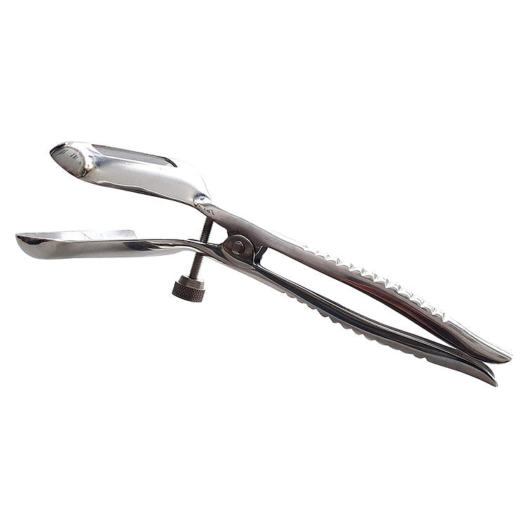 Stainless steel anal speculum with a locking screw.
