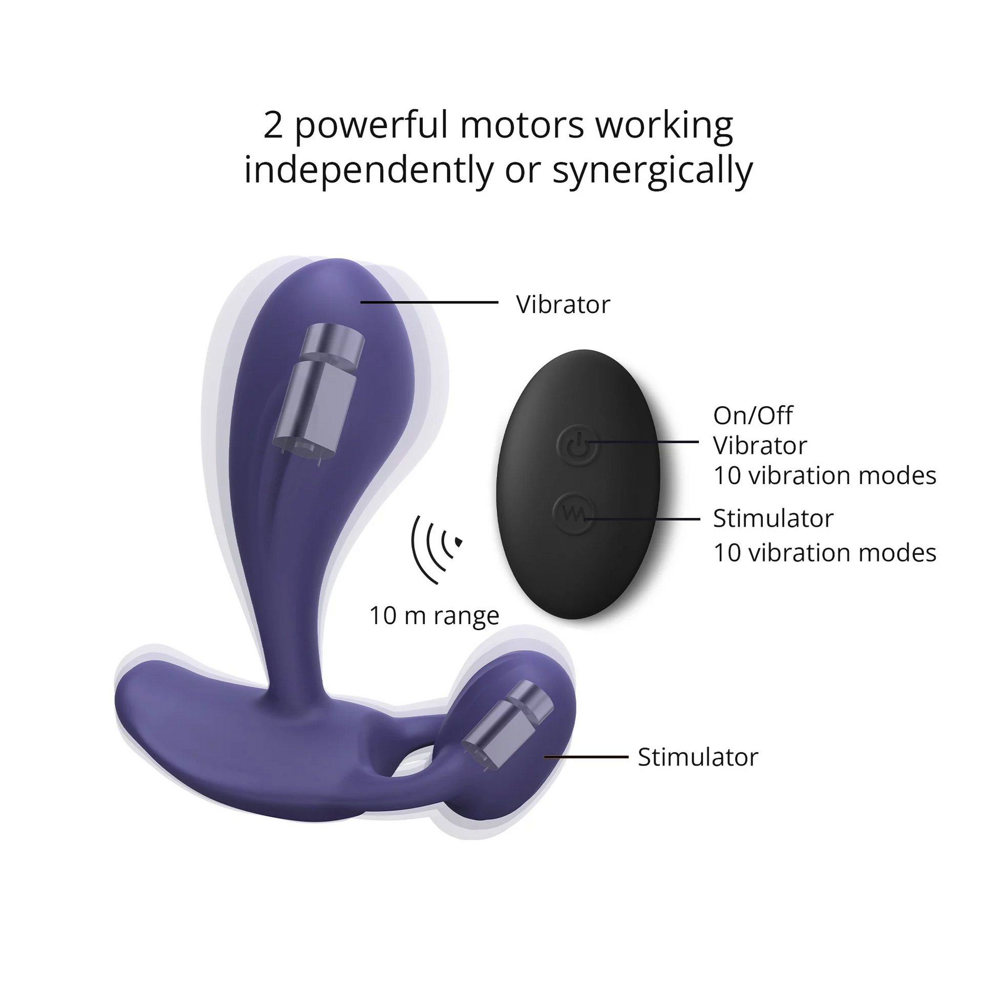 A purple dual-motor vibrator with a remote control and 10 vibration modes.