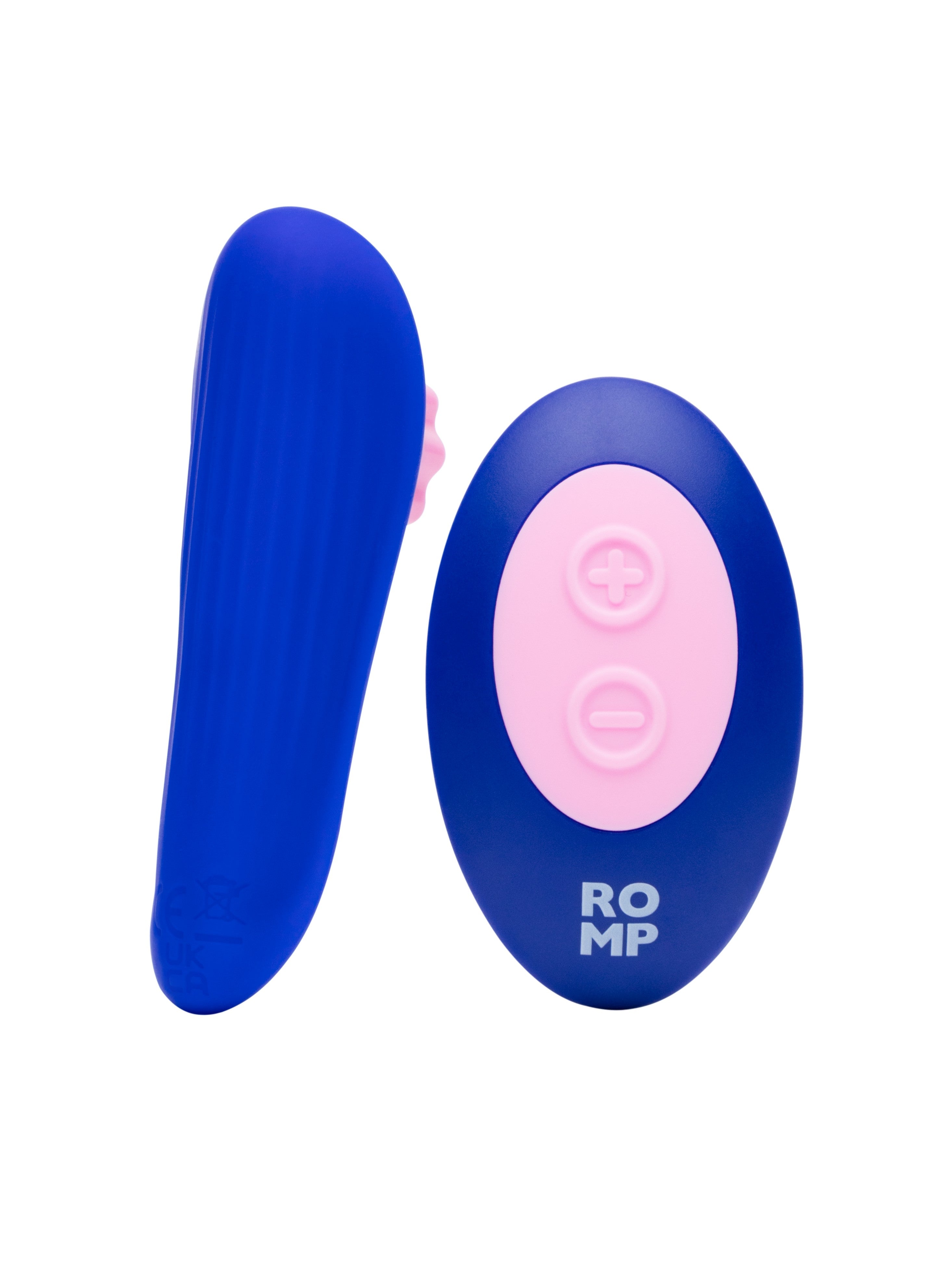 Blue and pink remote control panty vibrator with buttons.