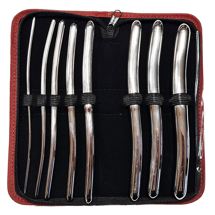 Eight-piece stainless steel Hegar dilator set in a red case.