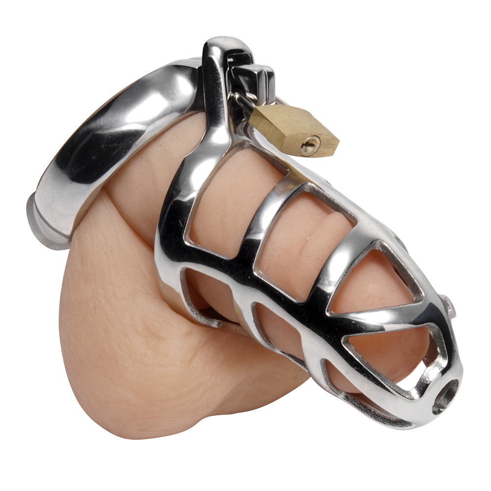 Stainless steel chastity cage with a small padlock and three sizing rings.