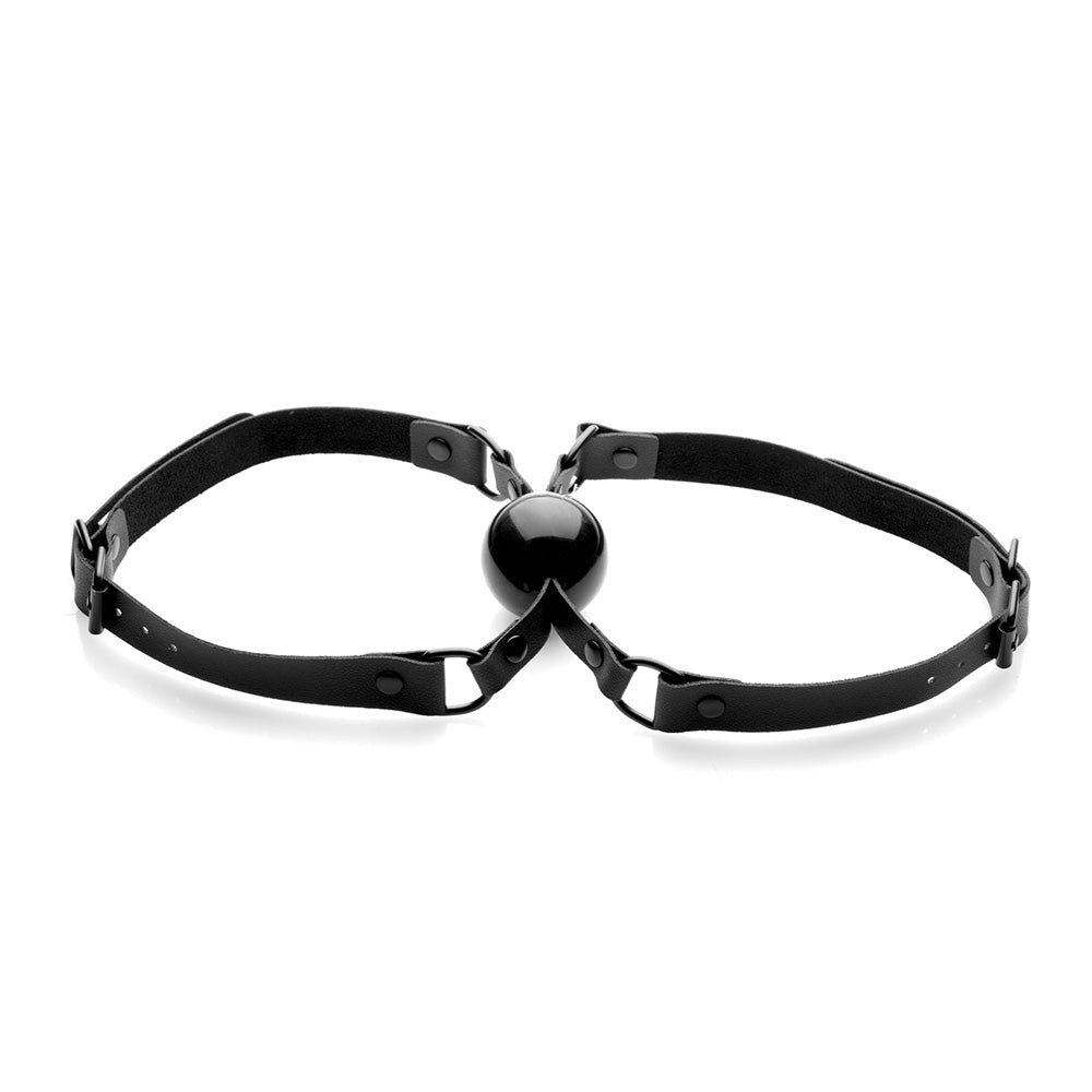 Black silicone ball gag with adjustable PU leather straps.