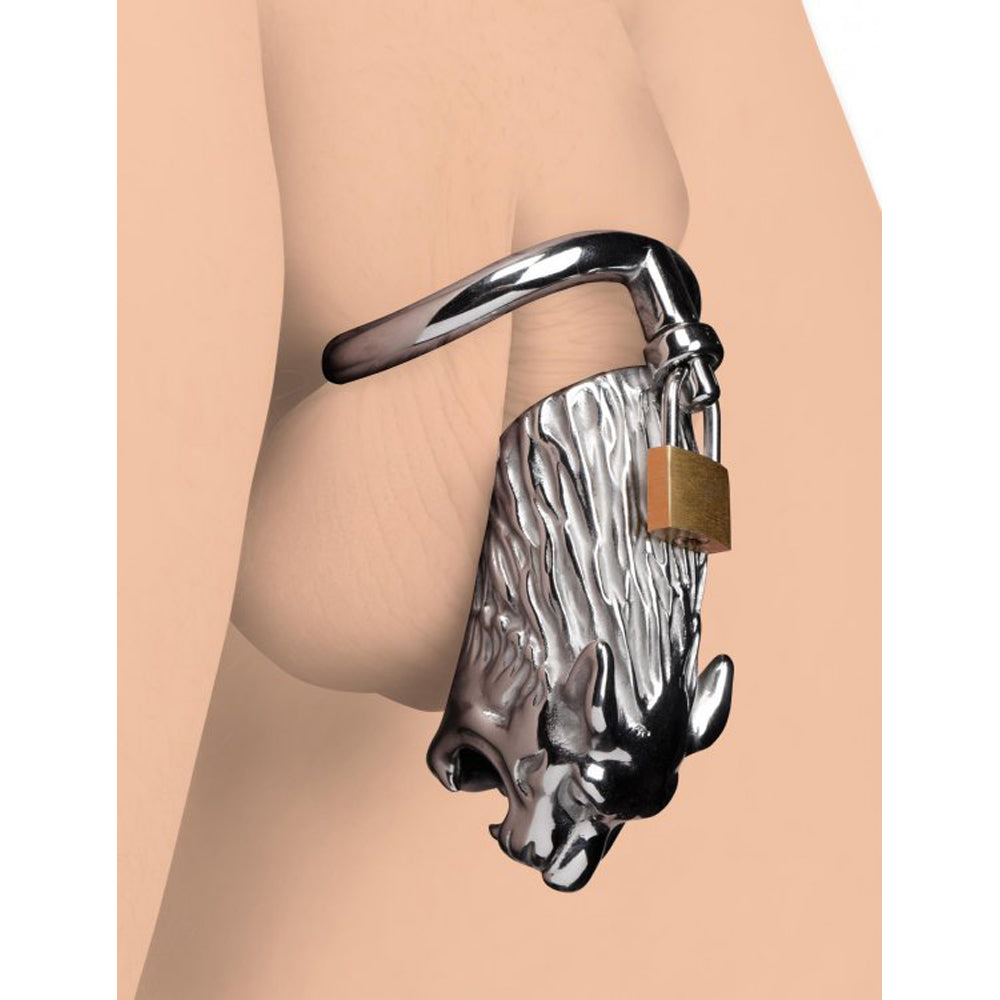 Tiger stainless steel locking chastity cage with padlock and three rings.