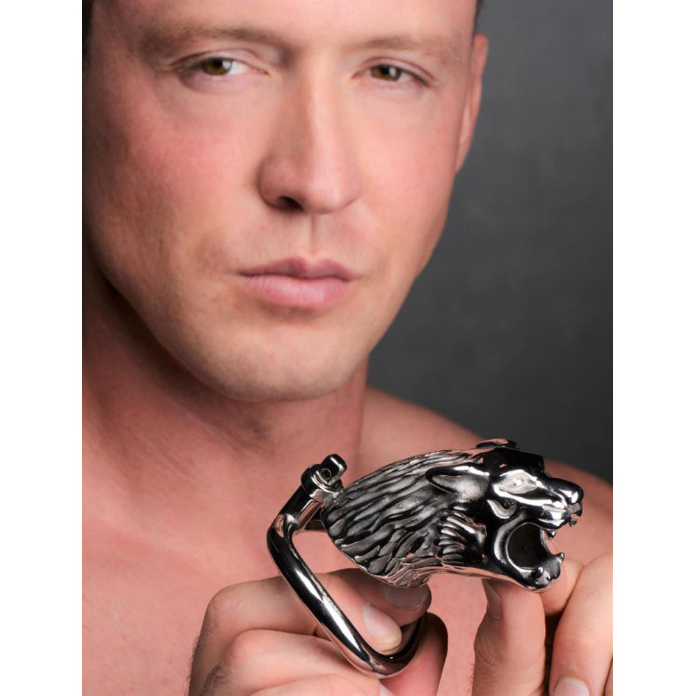 Tiger stainless steel locking chastity cage with three rings.