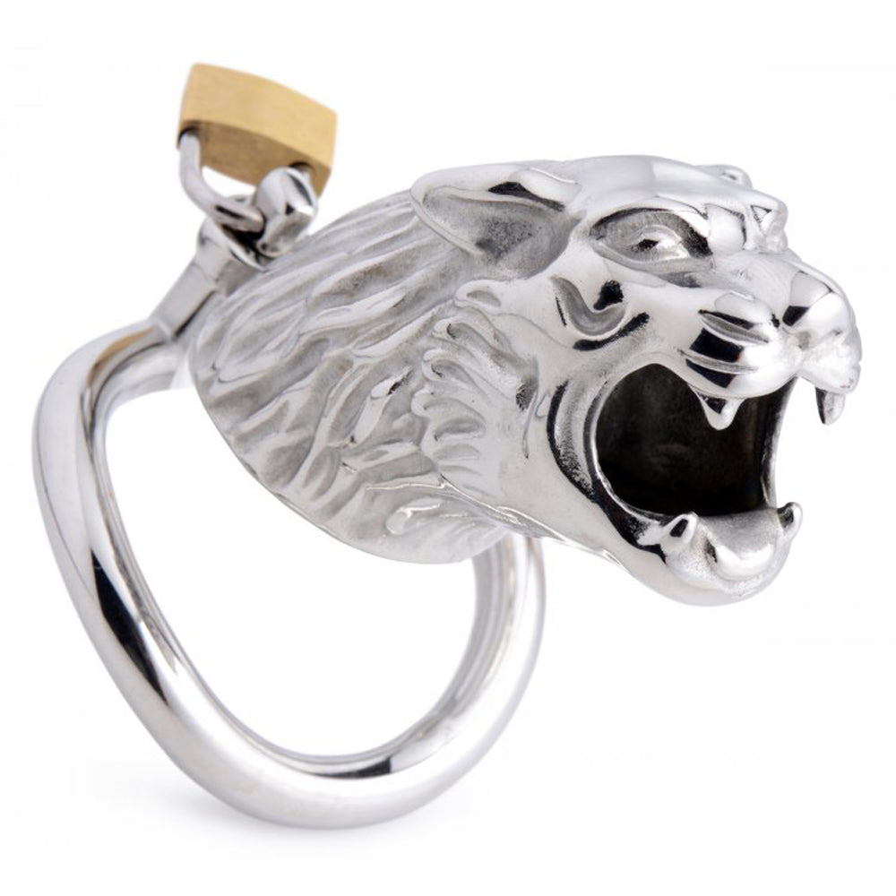 Tiger stainless steel locking chastity cage with padlock and ring.