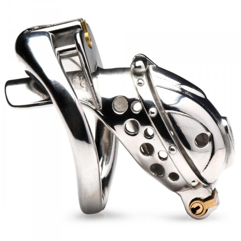 Stainless steel locking chastity cage with a ring and a lock.