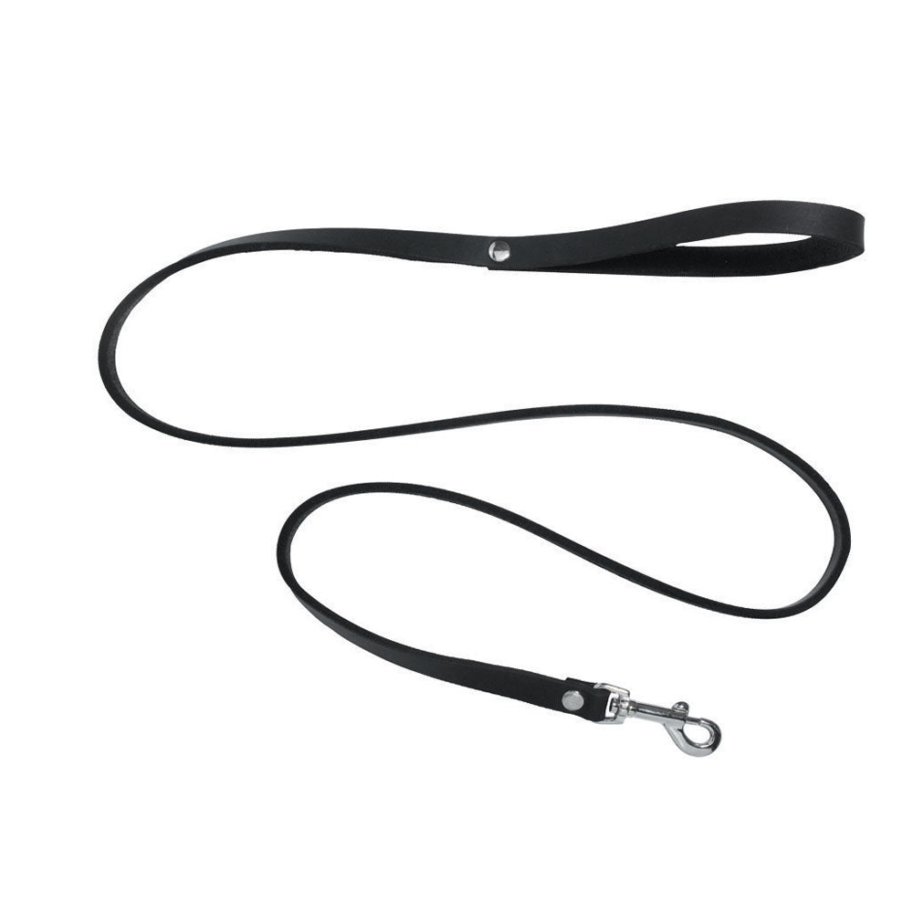 Black leather dog leash with a silver clasp.
