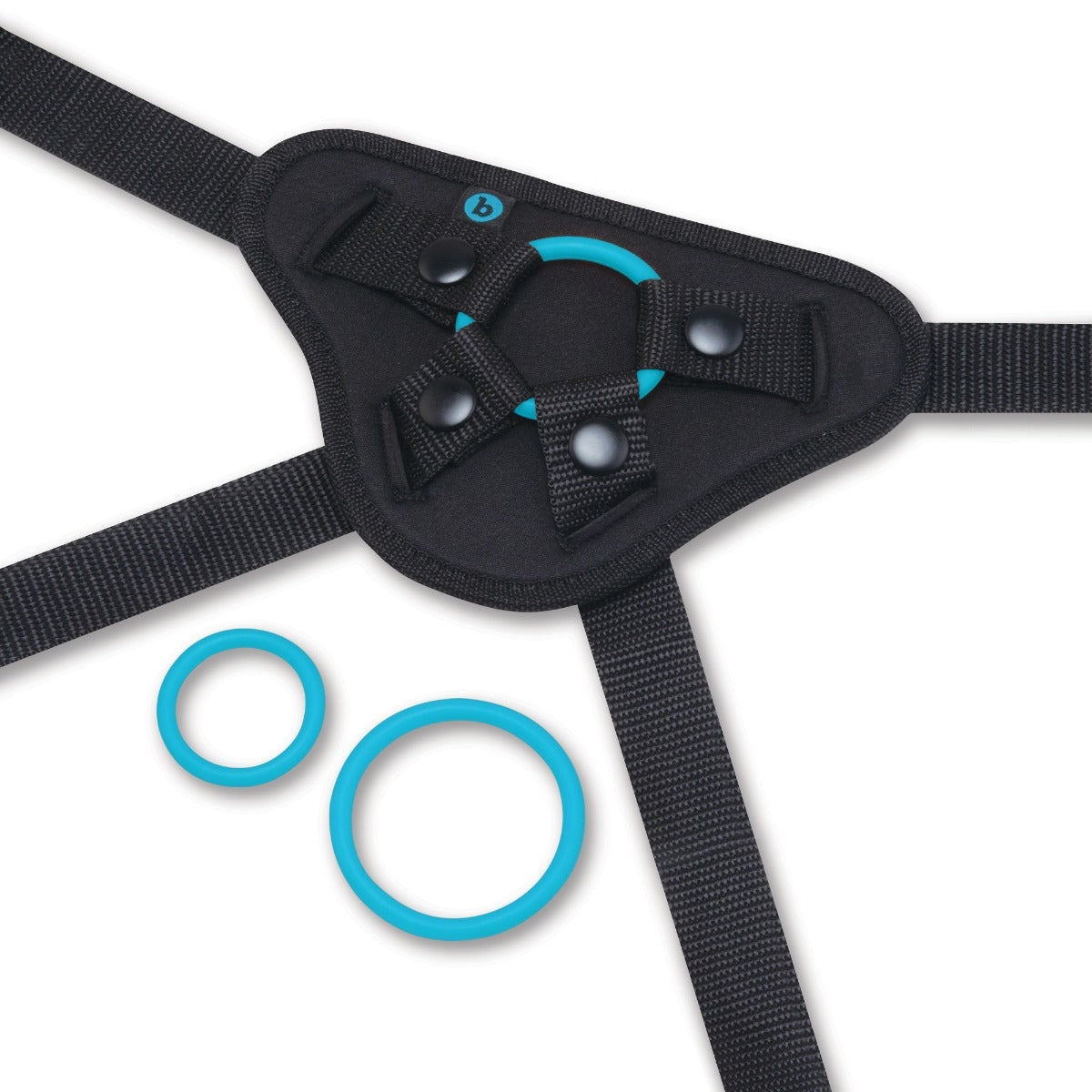 Black harness with blue rings and two separate blue rings.
