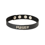 Black adjustable collar with the word PUSSY in silver letters.
