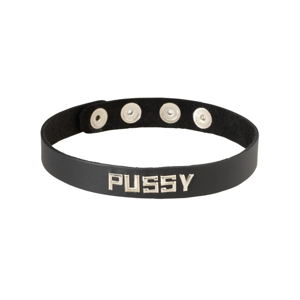Black adjustable collar with the word PUSSY in silver letters.
