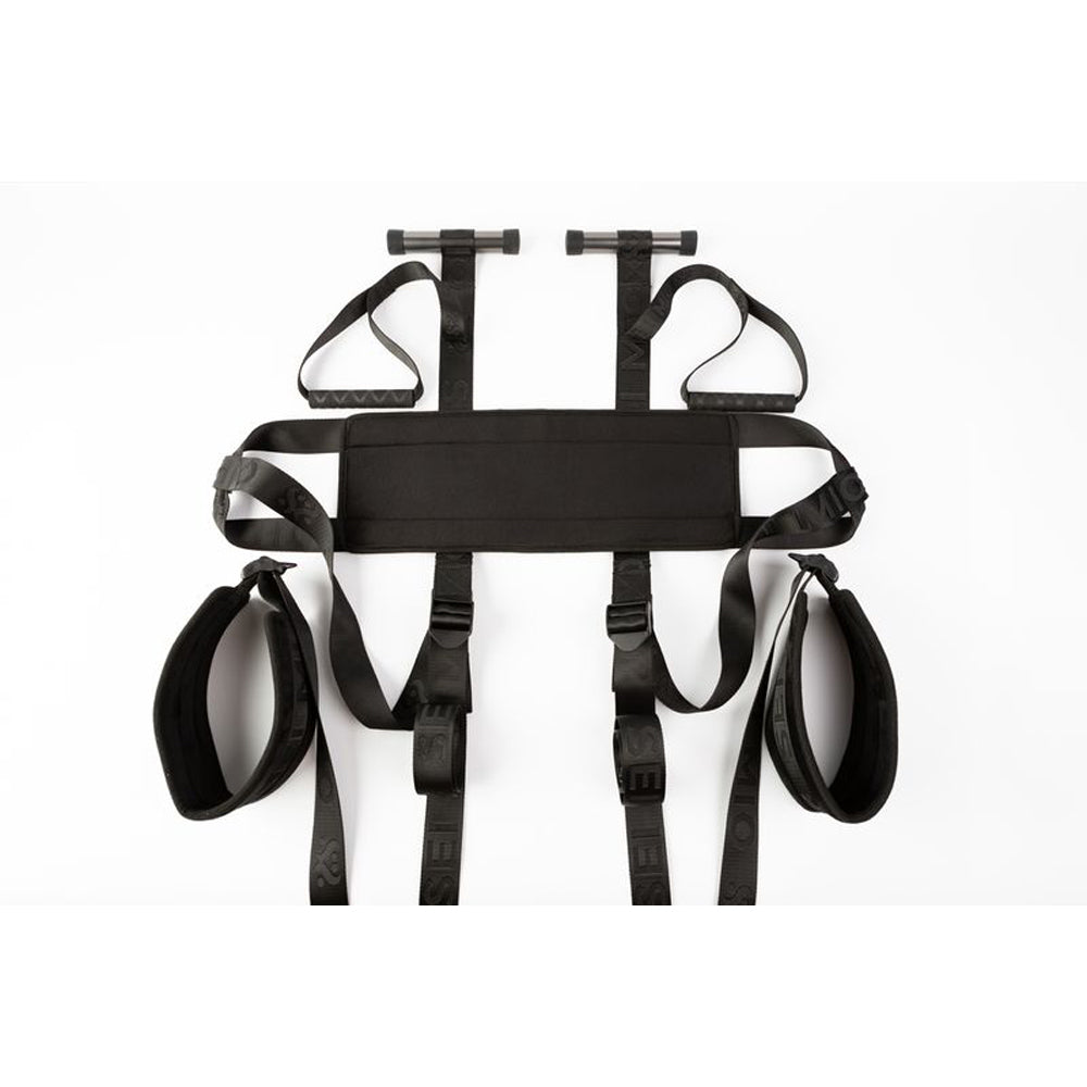 Black adjustable door swing with padded straps and T-bar handles.