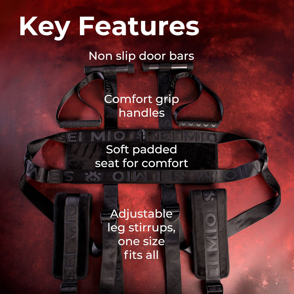 Adjustable door swing with padded straps and stirrups.