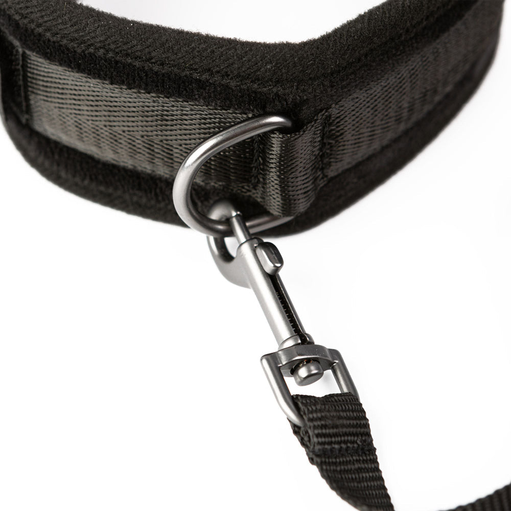 Padded neck collar with a metal D-ring and a black leash with a metal clasp.