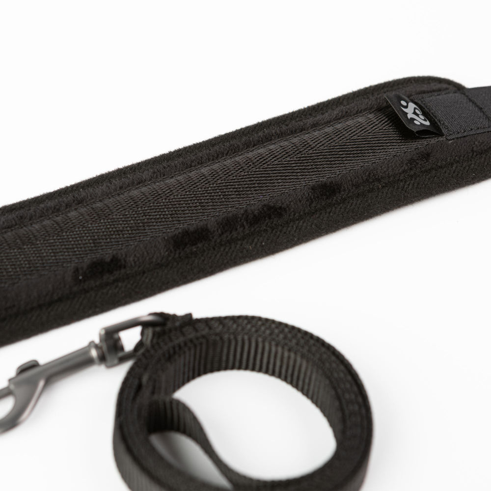 Black padded neck collar with Velcro and a matching leash.