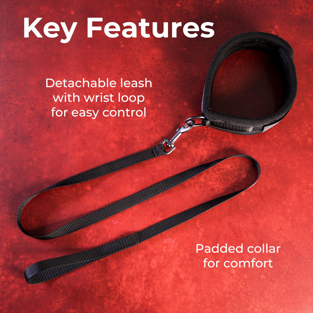 Padded neck collar and leash set with wrist loop.