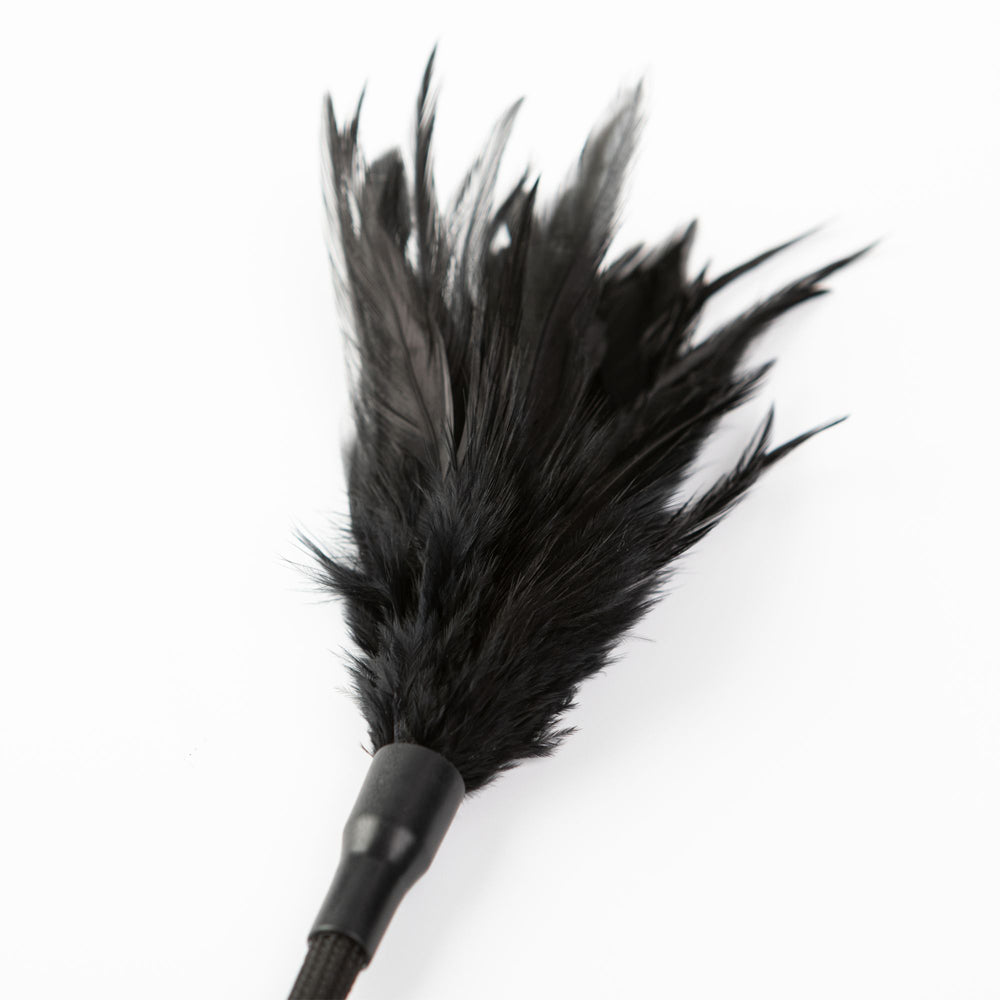 Black feather tickler with a short handle.