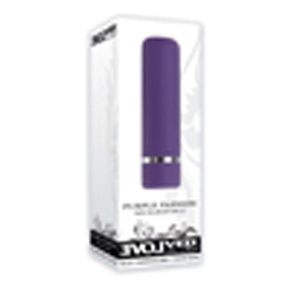 Purple bullet vibrator in its packaging.