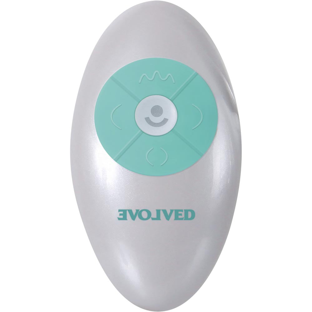 A silver oval-shaped remote with a teal circular control pad featuring icons and a smiley face.