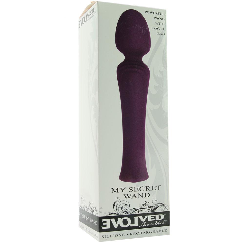 My Secret Wand waterproof rechargeable silicone vibrator in purple.