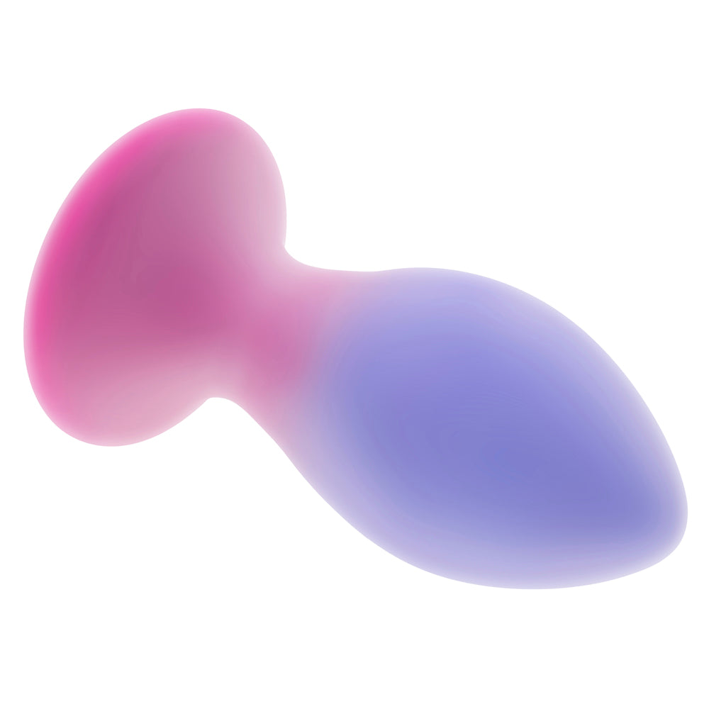 A pink and purple silicone anal plug with a tapered shape.