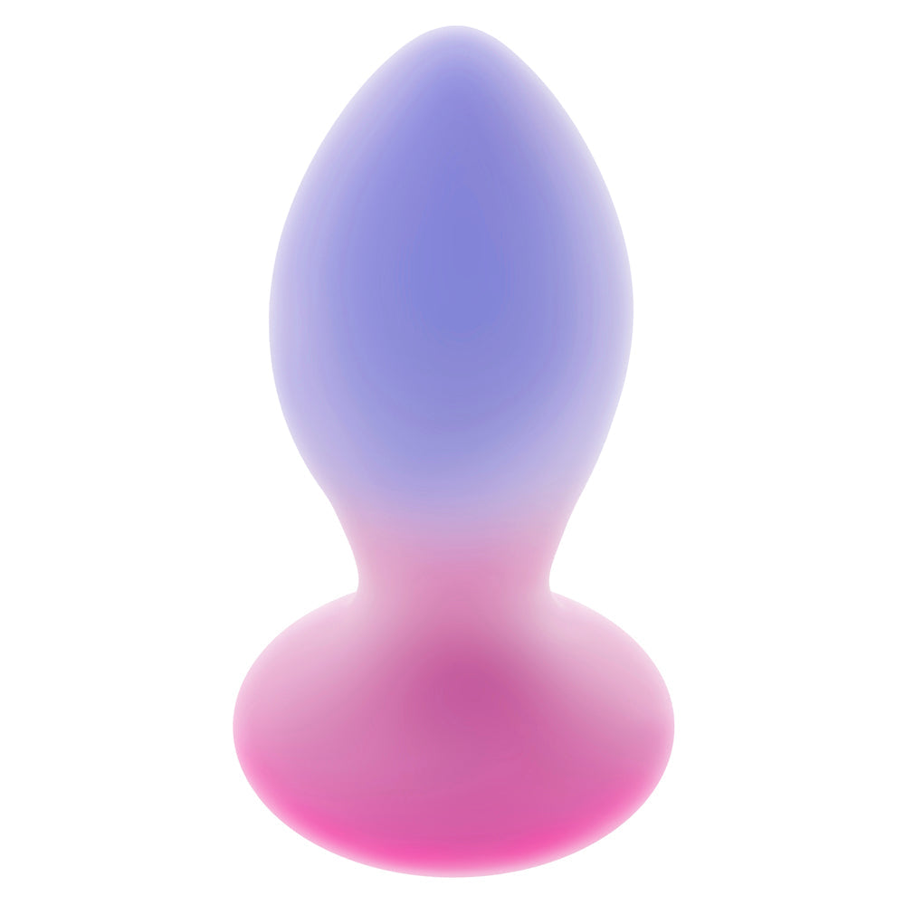 A gradient pink and purple silicone anal plug with a flared base.