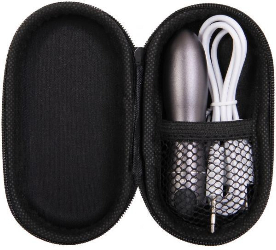Black oval case with a bullet vibrator and charging cable.