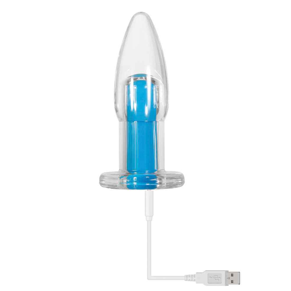 Clear anal plug with blue vibrating insert and USB charging cable.