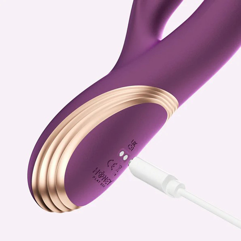 Purple app-controlled twin rabbit vibrator with gold accents and USB charging port.