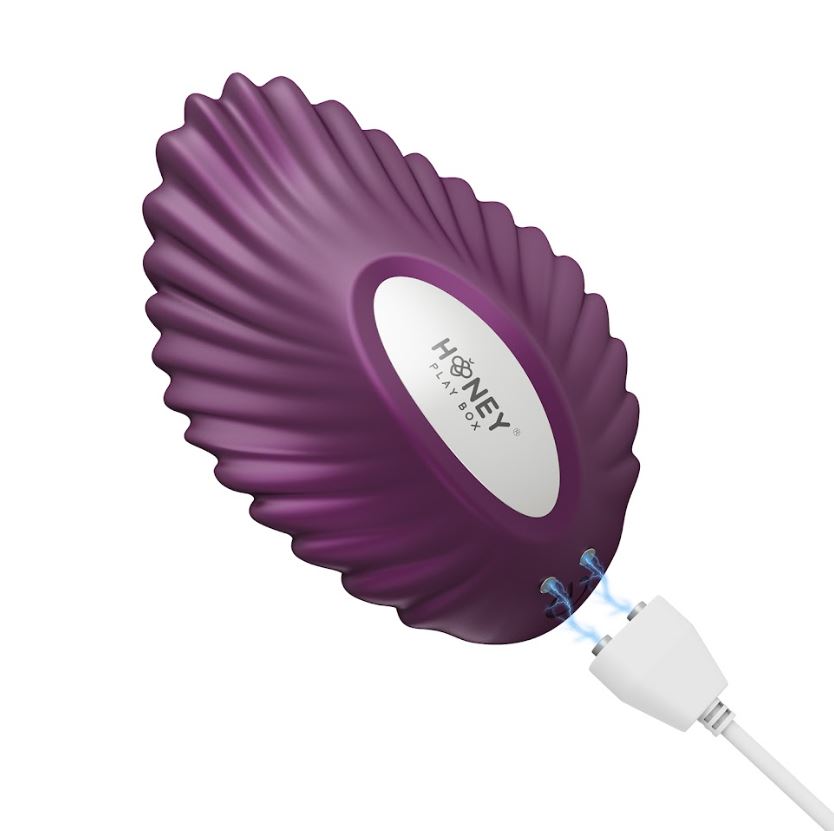 Purple shell-shaped vibrator with a white logo and charging cable.