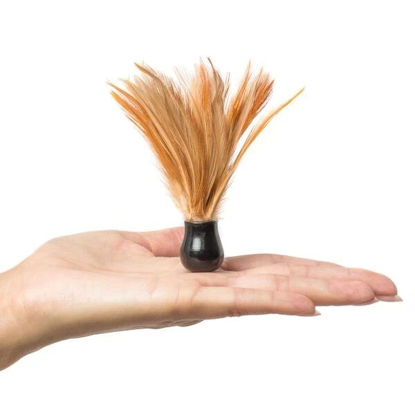 A hand holds a small black base with a fan of light brown and orange feathers.