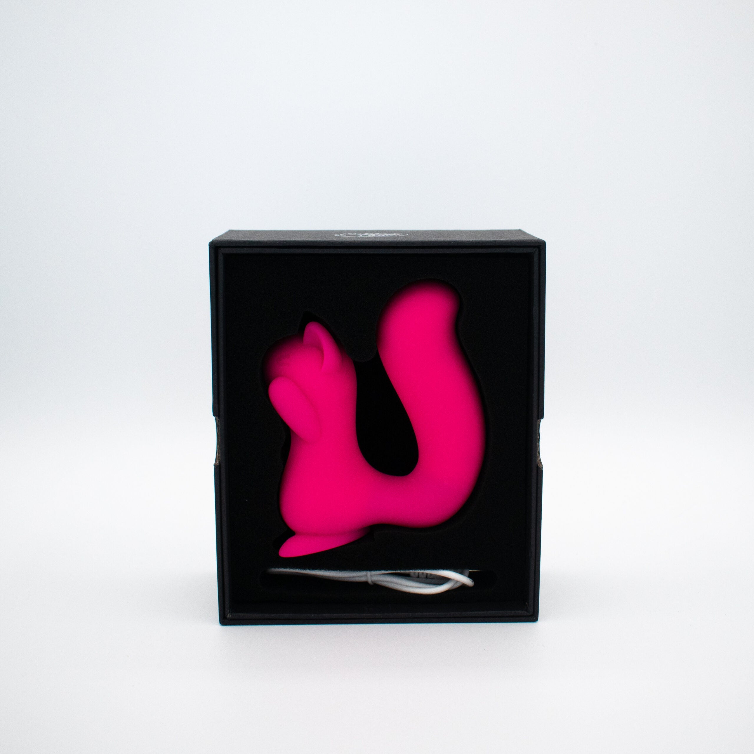 A pink squirrel-shaped vibrator with a curved tail and a charging cable in a black box.