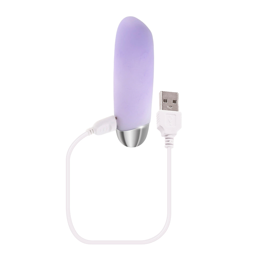 Purple silicone bullet vibrator with USB charging cable.