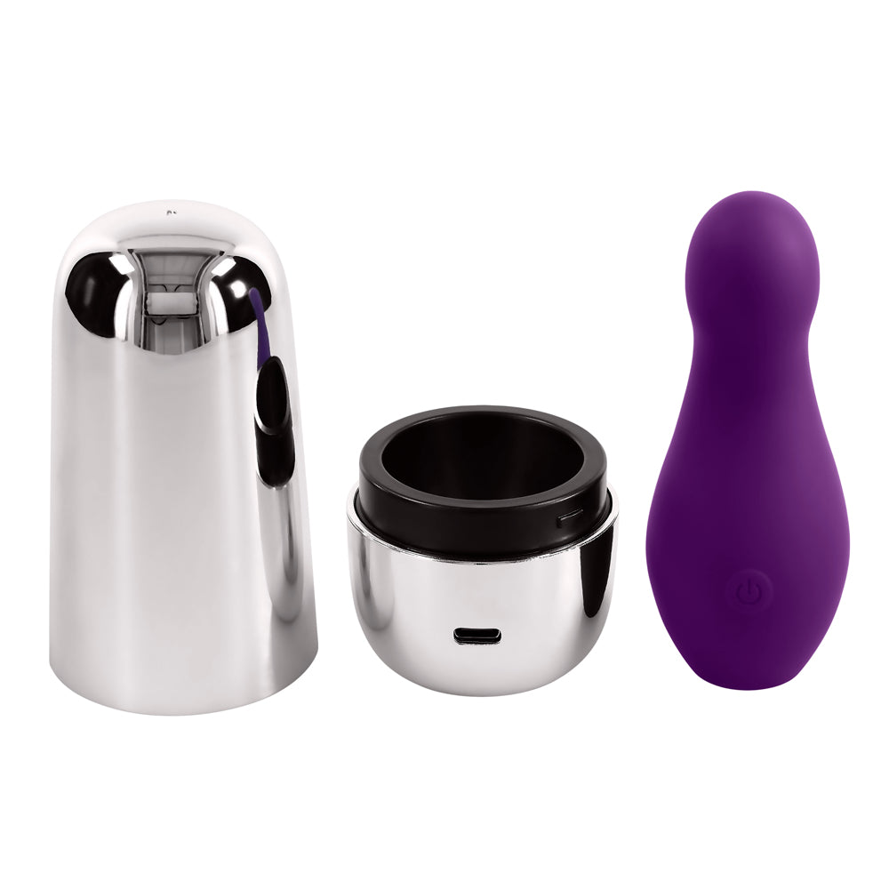Purple silicone vibrator with charging case.