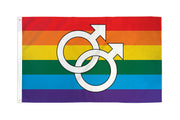 A rainbow flag with two interlocking male symbols.