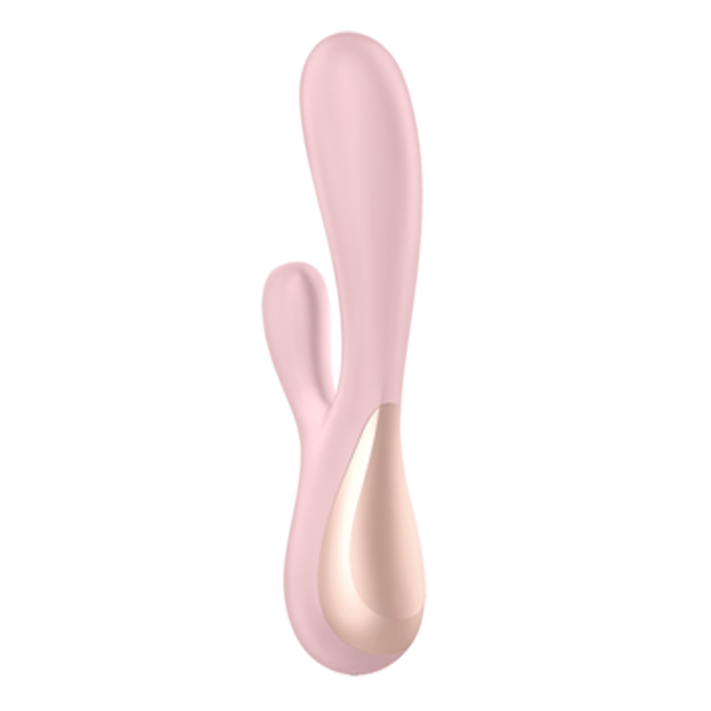 Mauve rabbit vibrator with a dual-pronged design and metallic accent.
