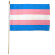 Transgender pride stick flag with blue, pink, and white stripes on a wooden stick.