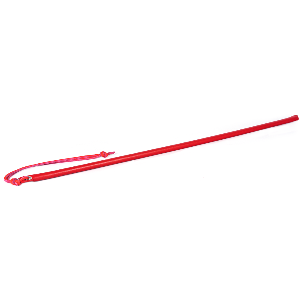 Red leather wrapped cane with a pink cord.