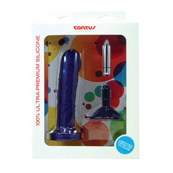 Purple silicone vibrator with suction cup and bullet attachment.