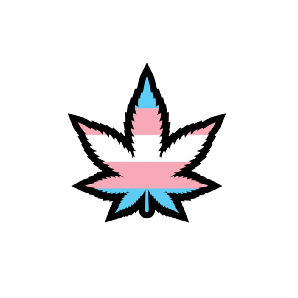 Trans pride weed leaf enamel lapel pin.