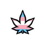 Trans pride weed leaf enamel lapel pin.