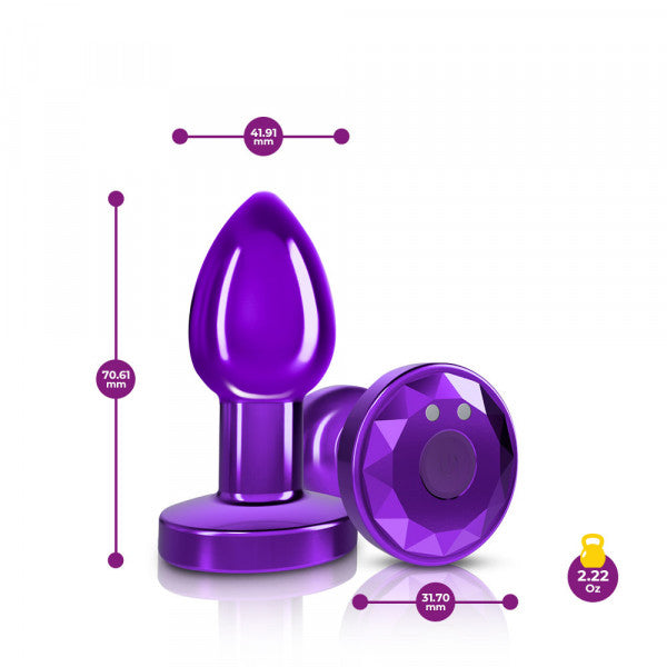 Purple metal anal plug with remote control and measurement indicators.