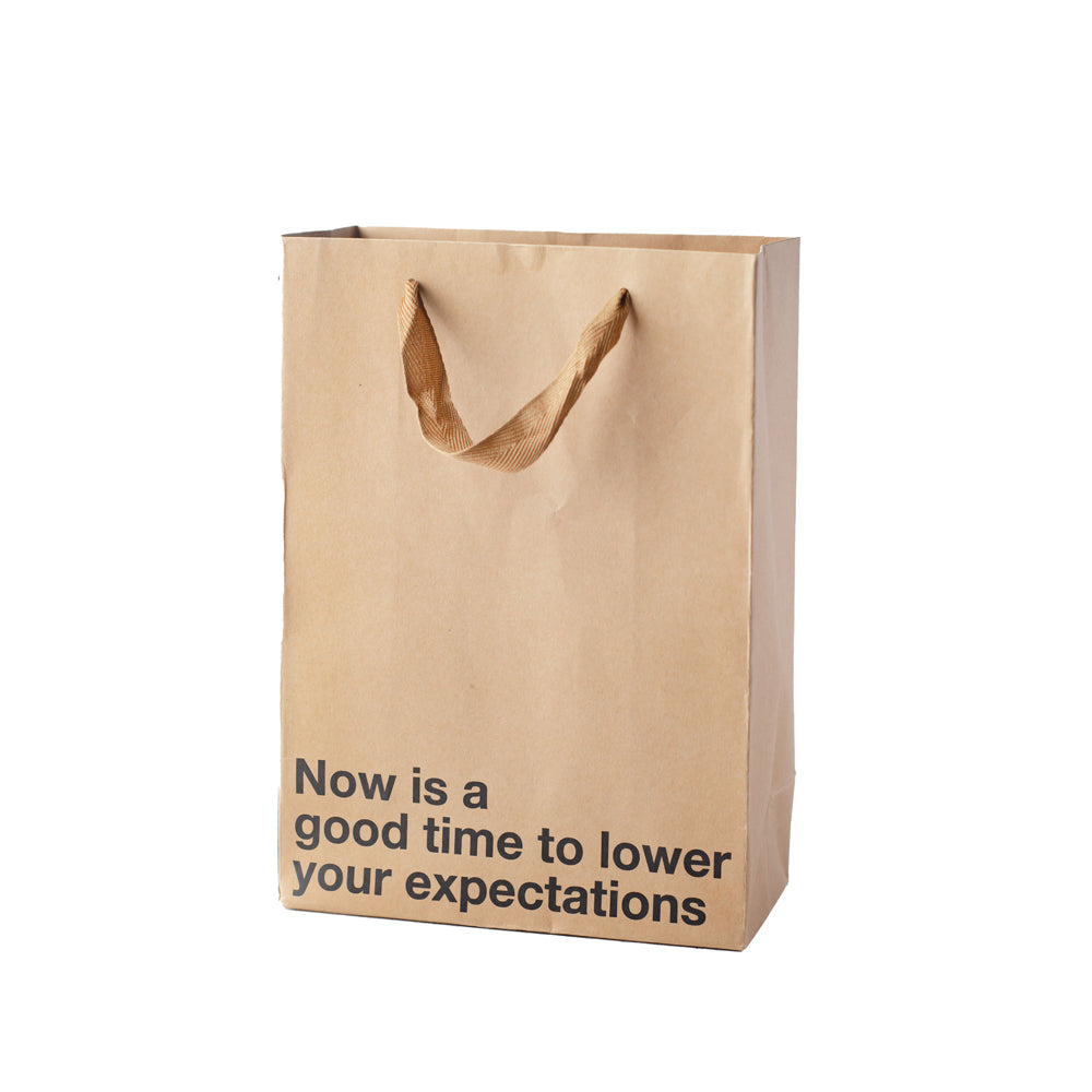Kraft paper gift bag with ribbon handle and snarky text.