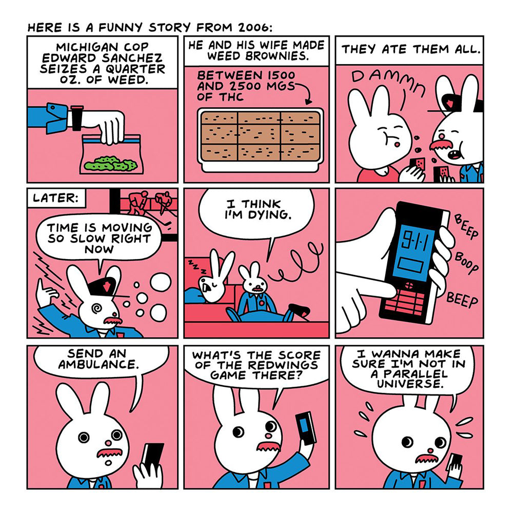 A graphic novel about a funny story involving a cop, weed brownies, and a 911 call.