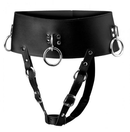 Black leather belt with O-rings and harness straps.